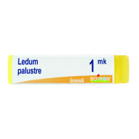 Ledum Palustre Boi 1mk Gl 1g