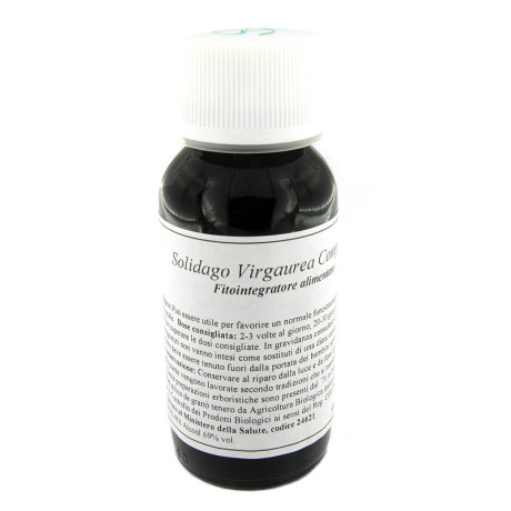 Lvs 07n Solidago Virgaure Comp