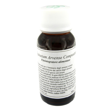 Lvs 41n Equisetum Arvense Comp