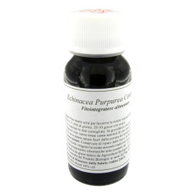 Lvs 67s Echinacea Purpurea Com