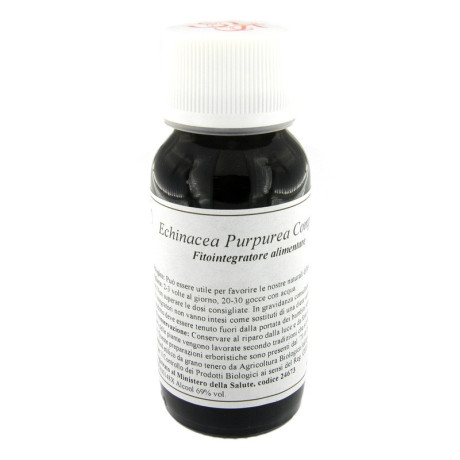 Lvs 67s Echinacea Purpurea Com