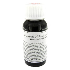Lvs 56s Eucalyptus Globul Comp