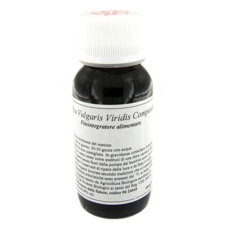 Lvs 29s Coffea Vulgaris Viridis Compositum