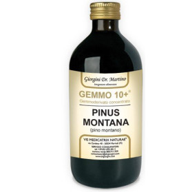 Gemmo 10+ Gemmoderivato Concentrato Liquido Analcolico Pinus Montana Pino Montano 500 ml