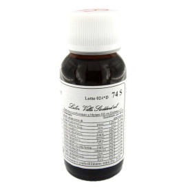 Lvs 74s Eryngium Campestre Compositum