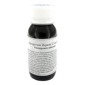 Lvs 93c Agropyrum Repens Compositum