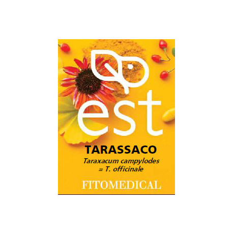 Tarassaco Estratto Secco 60 Tavolette