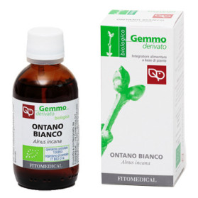 Macerato Glicerinato Ontano Bianco Bio 50 ml