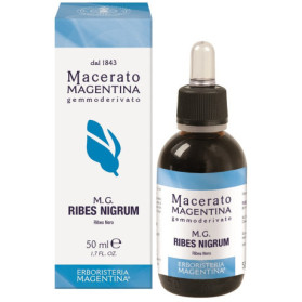 Ribes Nigrum Macerato Mage50ml