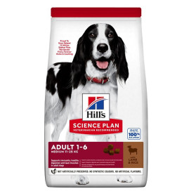 Sp Canine Adulti M Ckn 12Kg Bg