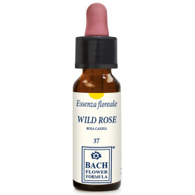 Wild Rose Original 10ml Gocce