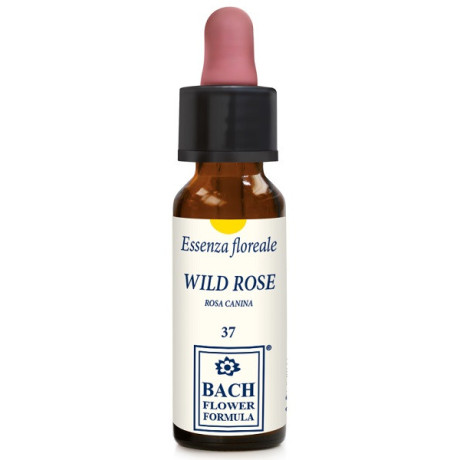 Wild Rose Original 10ml Gocce