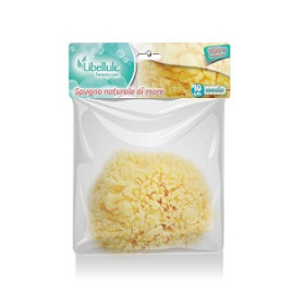 Libellule Spugna Nat Mare 12