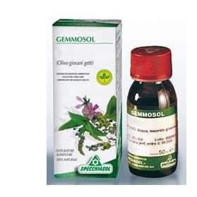 Gemmosol 3 Ippocastano 50ml