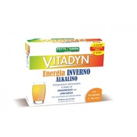 Vitadyn Energia Inverno 14 Bustine