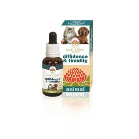 Diffidence & Timidity 30ml
