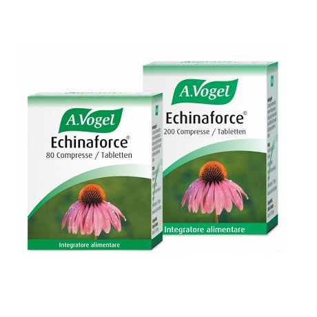 Echinaforce 80 Compresse Vogel