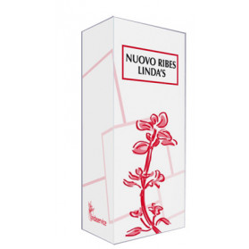 Nuovo Ribes Lindas 50 ml Gocce