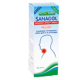 Sanagol Spray Erisimo S/alc Dm