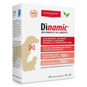 Dinamic 20bustine 10g