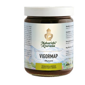 Vigormap Pasta 600 g