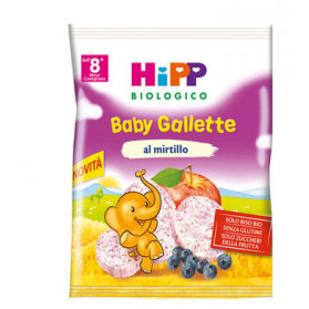 Hipp Biologico Gallette Di Riso Mirtillo 30 g