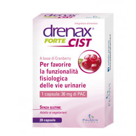 Drenax Forte Cist 28 Capsule