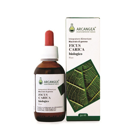 Ficus Carica Bio Gemmoderivato 50 ml