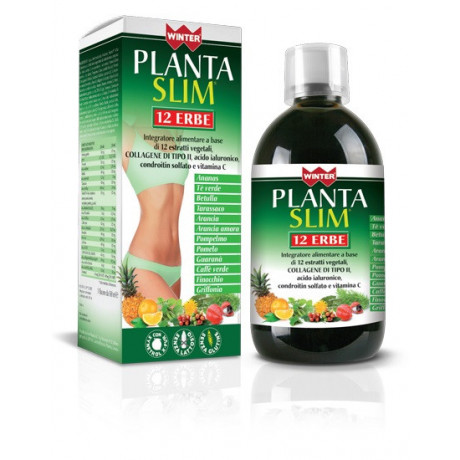 Winter Planta Slim 12 Erbe 500 ml