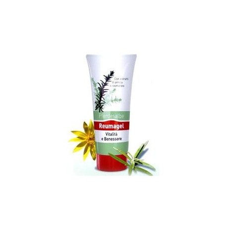 Recover Gel Pferdesalbe 200 ml