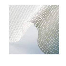 Medicazione Speciale Attiva Con Argento Physiotulle Misura 10x10 10 Pezzi
