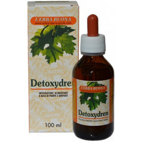 Detoxydren Gocce 100 ml