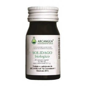 Solidago Biologico 385 mg
