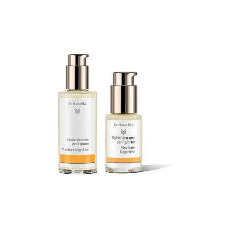 Dr Hauschka Fluido Idrat Gg 100