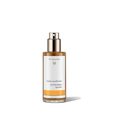 Dr Hauschka Loz Purificante 100ml