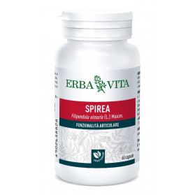 Spirea Ulmaria 60 Capsule 400 mg