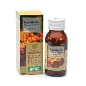 Echinacea 60 Compresse 26g Stv