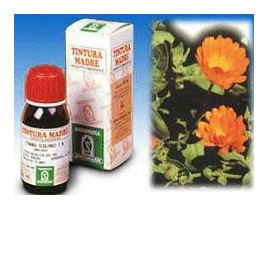 Calendula Off 5 50ml Tm