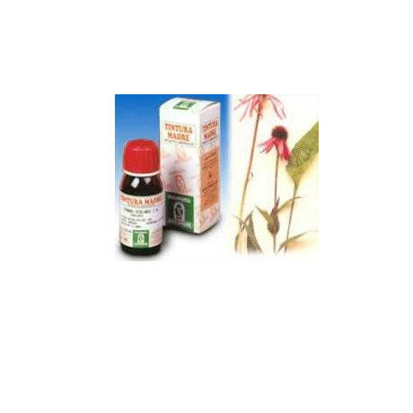 Echinacea 59 50ml Tm