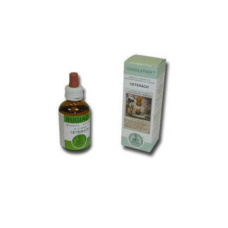 Rugiada Ceterach 50ml Gocce