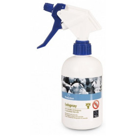 Leispray Protection 500 ml