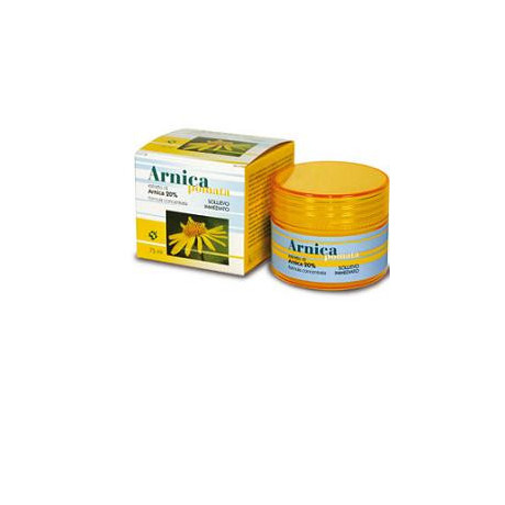 Arnica Pomata 75 ml