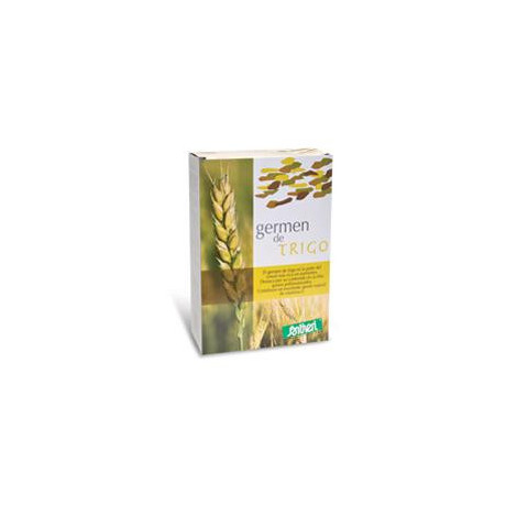 Germe Grano Polvere 400g Stv