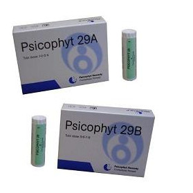 Psicophyt Remedy 29b 4 Tubi 1,2 g
