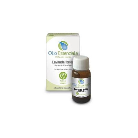 Lavanda Ibrida Olio Essenziale 10 ml