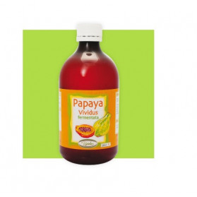 Papaya Fermentata 500 ml