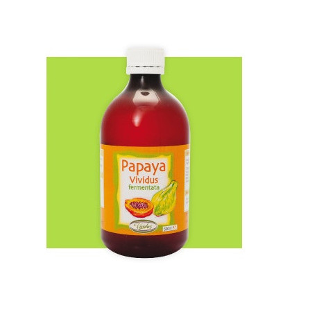 Papaya Fermentata 500 ml