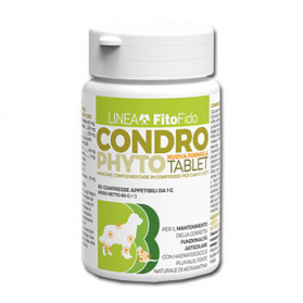 Condrophyto 60 Compresse Da 1 g