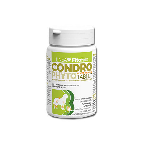 Condrophyto 60 Compresse Da 1 g