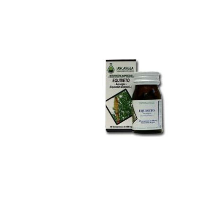 Equiseto 60 Capsule 500mg